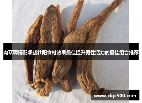 肉苁蓉搭配哪些壮阳食材效果最佳提升男性活力的最佳组合推荐